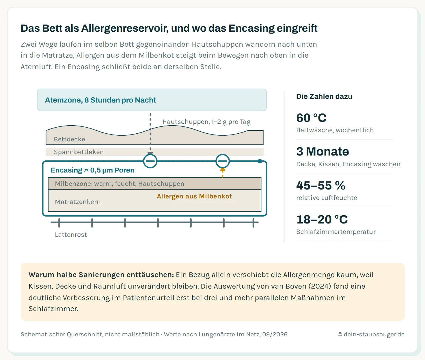 Schematischer Querschnitt durch ein Bett als Allergenreservoir: Matratze mit Milbenzone in den oberen Zentimetern, darüber ein milbendichter Encasing-Bezug mit Porengröße um 0,5 Mikrometer, darüber Bettlaken und Bettdecke. Pfeile zeigen, wie Hautschuppen nach unten in die Matratze wandern und wie Allergenpartikel beim Aufschütteln nach oben in die Atemluft gelangen. Der Encasing-Bezug unterbricht beide Wege. Rechts eine Leiste mit den vier Kernwerten: Wäsche wöchentlich bei 60 Grad, Encasing alle drei Monate waschen, Luftfeuchte 45 bis 55 Prozent, Schlafzimmertemperatur 18 bis 20 Grad.