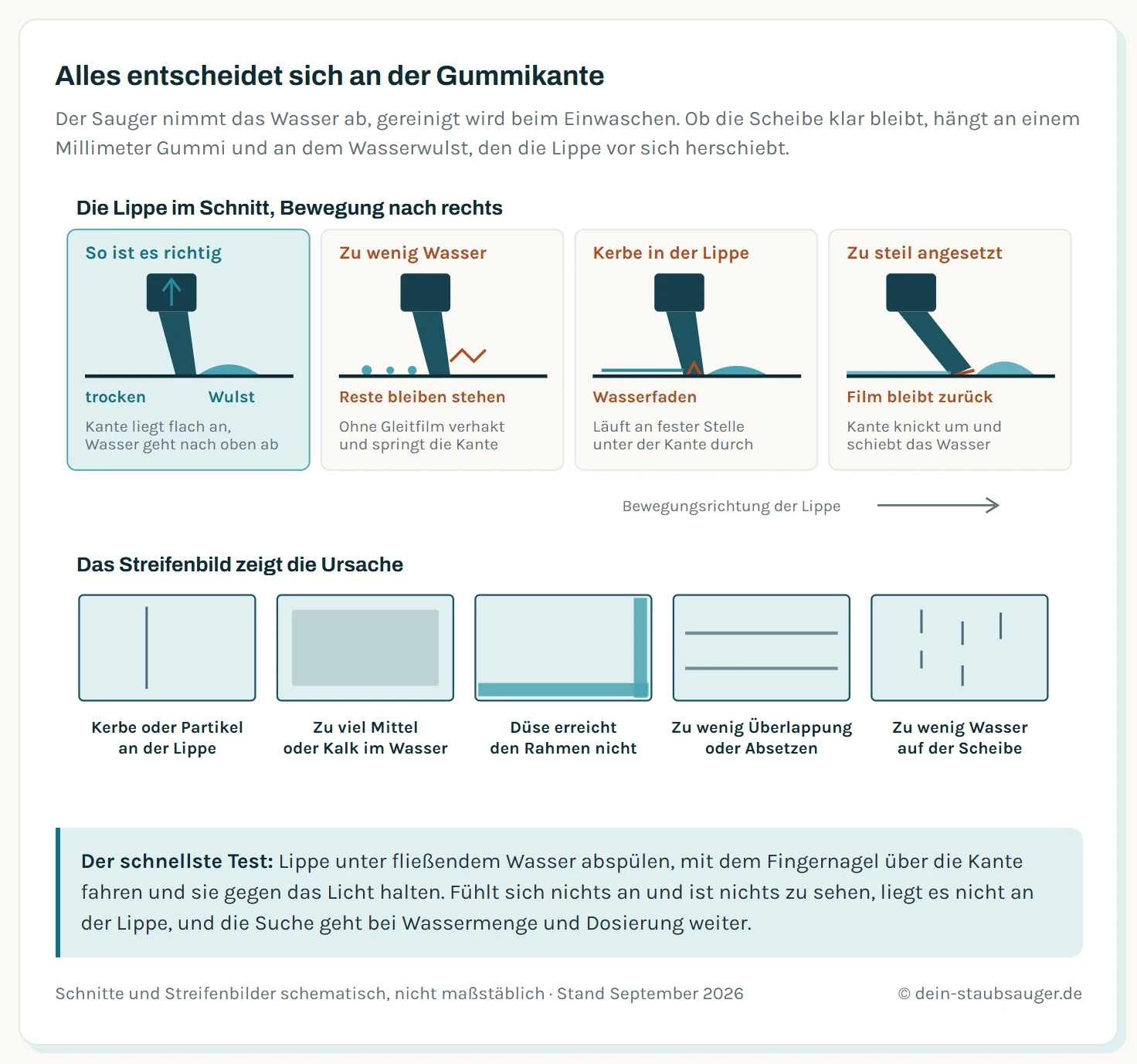 Zweiteilige Grafik zum Fenstersauger. Oben ein Querschnitt durch die Abziehlippe auf dem Glas in vier Zuständen. Im Sollzustand steht vor der Lippe ein Wasserwulst, die Lippe legt sich mit ihrer Kante flach an die Scheibe, hinter ihr bleibt die Fläche trocken, und der Absaugkanal zieht das Wasser nach oben ab. Im ersten Fehlerfall fehlt der Wasserfilm: Die Lippe hat keinen Gleitfilm, rubbelt über das Glas, springt und lässt einzelne Reste stehen. Im zweiten Fehlerfall hat die Lippe eine Kerbe: An dieser Stelle läuft ein dünner Wasserfaden unter der Kante hindurch und ergibt bei jedem Zug an derselben Position eine feine Linie. Im dritten Fehlerfall ist die Lippe zu steil angesetzt, sie knickt um und schiebt das Wasser vor sich her, statt es abzunehmen. Unten eine Zuordnung von fünf Streifenbildern zu ihren Ursachen: einzelne feine Linie an immer derselben Stelle deutet auf eine Kerbe oder ein Partikel an der Lippe; ein flächiger milchiger Schleier auf zu viel Reinigungsmittel oder auf Kalk aus hartem Wasser; Wasserspuren an Rand und Ecken darauf, dass die Düse den Rahmen nicht erreicht; quer verlaufende Absätze zwischen den Bahnen auf zu geringe Überlappung oder ein Absetzen mitten in der Bahn; und ein Rubbeln oder Quietschen der Lippe auf zu wenig Wasser auf der Scheibe.