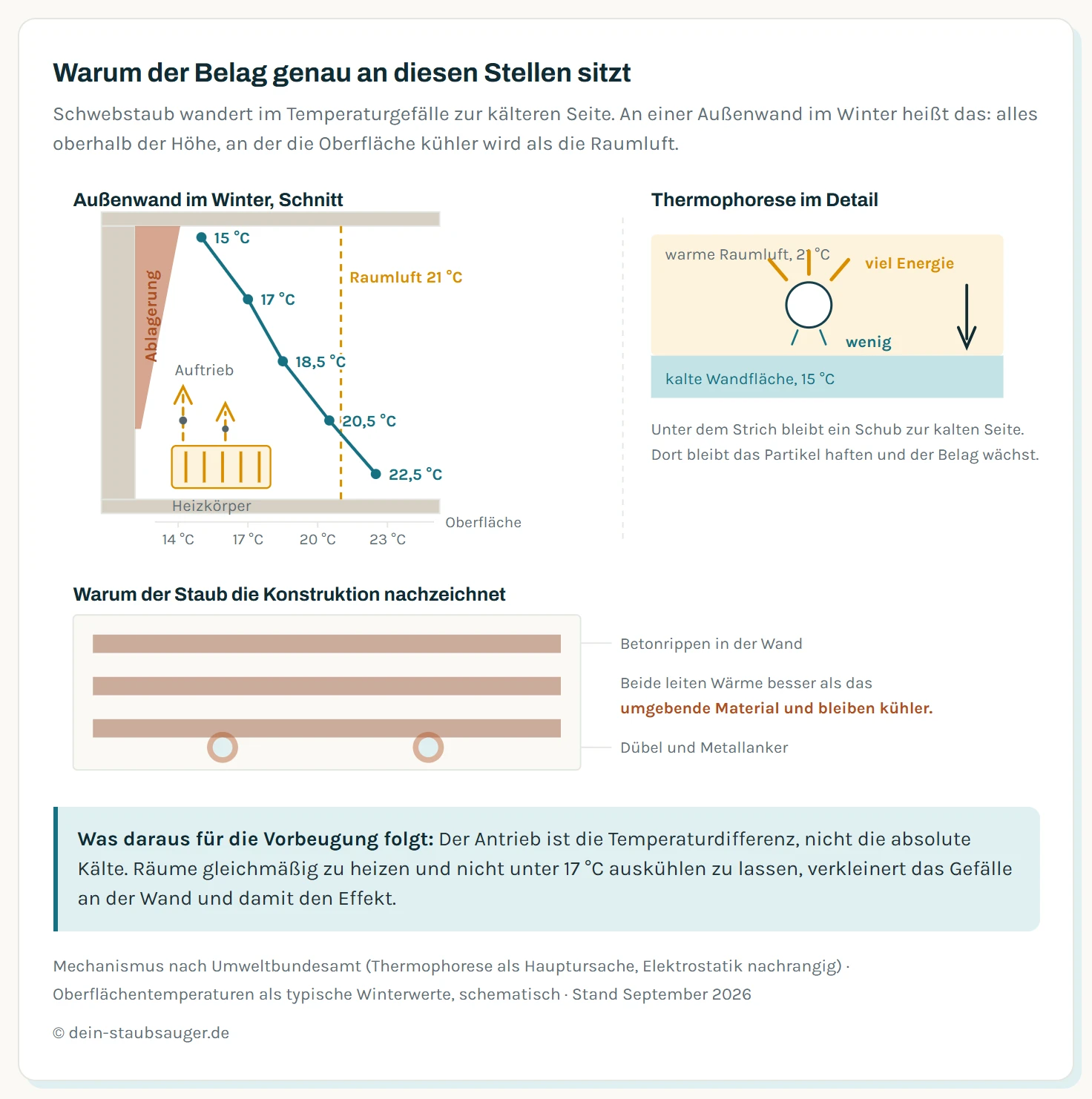 Schematischer Querschnitt durch ein Zimmer an der Außenwand, der zeigt, warum sich Schwarzstaub an bestimmten Stellen absetzt. Links die Außenwand mit einer Temperaturskala: Die Innenoberfläche ist an der Deckenkante und hinter dem Schrank mit 14 bis 16 Grad am kältesten, in der Wandmitte liegt sie bei 18 bis 19 Grad, direkt über dem Heizkörper bei 22 Grad. Die Raumluft hat 21 Grad. Vom warmen Heizkörper steigt ein Luftstrom auf und trägt Schwebstaub mit angelagerten schwerflüchtigen Verbindungen nach oben. Pfeile zeigen die Thermophorese: Im Temperaturgefälle wandern die Partikel von der warmen Luft zur kalten Oberfläche und bleiben dort haften. Drei dunkel markierte Ablagerungszonen ergeben sich daraus: erstens der Schleier über dem Heizkörper, wo der aufsteigende Strom auf die Wand trifft, zweitens die Deckenkante als kälteste Fläche des Raums, drittens die Fläche hinter dem Schrank ohne Luftumspülung. Zusätzlich zeichnet ein Detailausschnitt, wie Dübel und Betonrippen als Wärmebrücken die Konstruktion der Wand als Streifenmuster sichtbar machen.