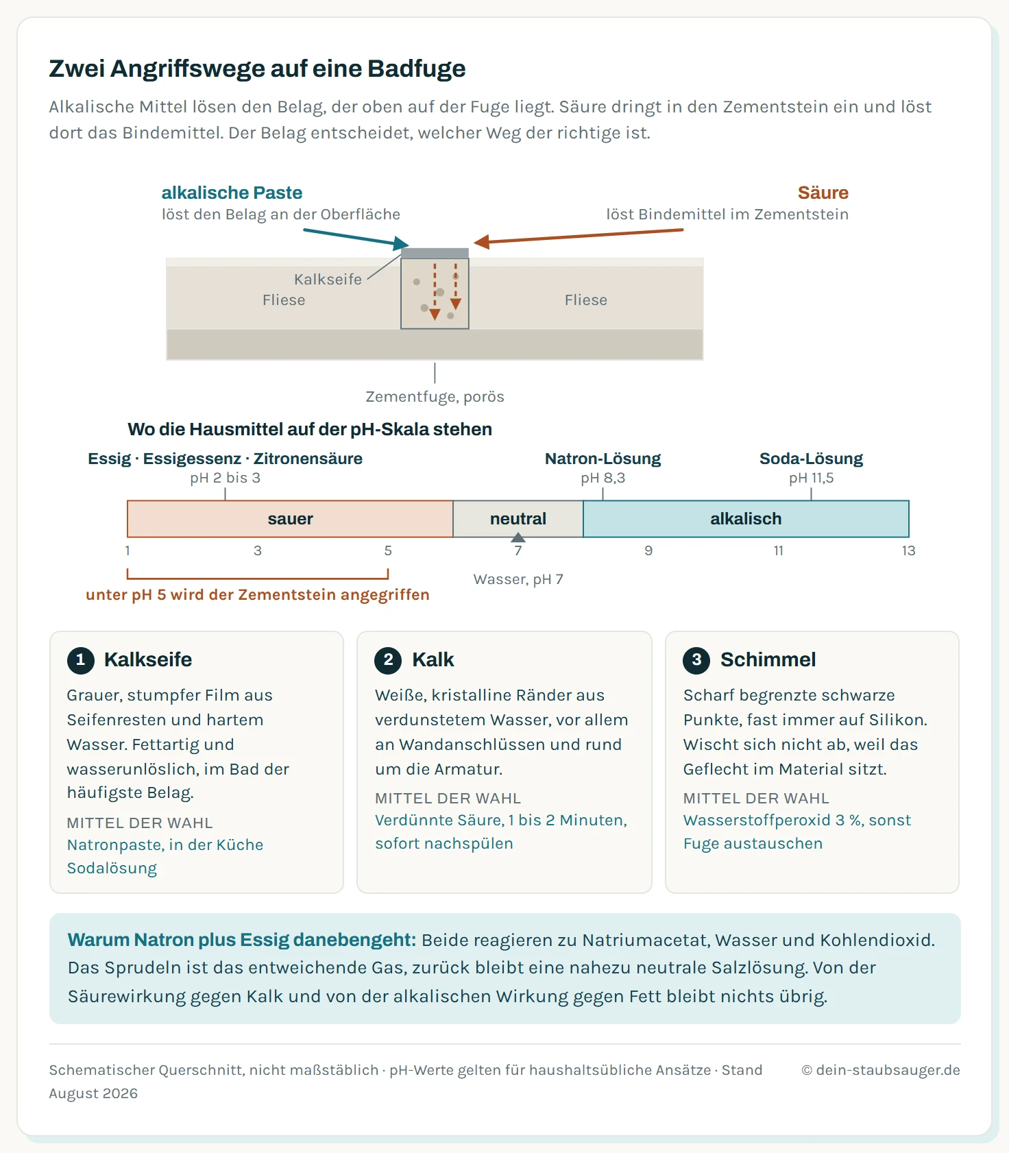 Zweiteilige Grafik. Oben ein Querschnitt durch eine zementäre Fuge zwischen zwei Fliesen mit einer Belagschicht aus Kalkseife an der Oberfläche und porösem Zementstein darunter. Ein Pfeil zeigt die alkalische Paste, die auf der Belagschicht wirkt, ein zweiter Pfeil zeigt Säure, die in den porösen Zementstein eindringt und dort Bindemittel löst. Unten eine pH-Skala von 1 bis 13 mit Säurezone, Neutralbereich und alkalischer Zone. Eingetragen sind Essig, Essigessenz und Zitronensäure bei pH 2 bis 3, Wasser bei pH 7, Natronlösung bei pH 8,3 und Sodalösung bei pH 11,5. Markiert ist außerdem die Grenze, unterhalb derer Zementfugen Schaden nehmen.