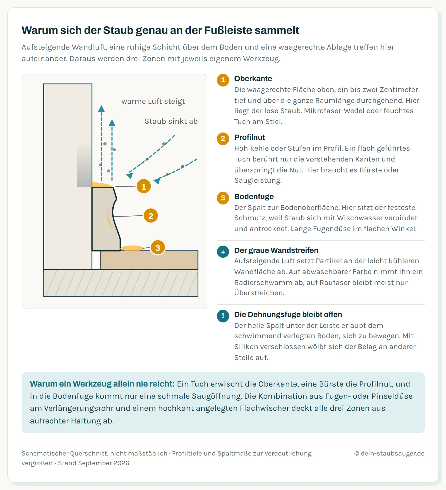 Schematischer Querschnitt durch eine Fußleiste am Übergang von Wand zu Boden. Links steht die Wand senkrecht, unten liegt der Bodenbelag, dazwischen sitzt die Sockelleiste im Profil. Drei nummerierte Marker kennzeichnen die Staubzonen: Marker eins auf der waagerechten Oberkante der Leiste als größte Ablagefläche, Marker zwei in der Profilnut beziehungsweise Kehle des Leistenprofils, Marker drei in der Dehnungsfuge zwischen Leistenunterkante und Bodenbelag. Gestrichelte Pfeile zeigen die Luftbewegung: Warme Luft steigt an der Wand nach oben und nimmt Partikel mit, die sich an der kühleren Wandfläche als grauer Streifen absetzen. In Bodennähe bildet sich eine ruhige Grenzschicht, in der absinkende Partikel liegen bleiben. Ein weiterer Pfeil zeigt, wie Wischwasser vom Boden gegen die Leistenunterkante geschoben wird und dort antrocknet.