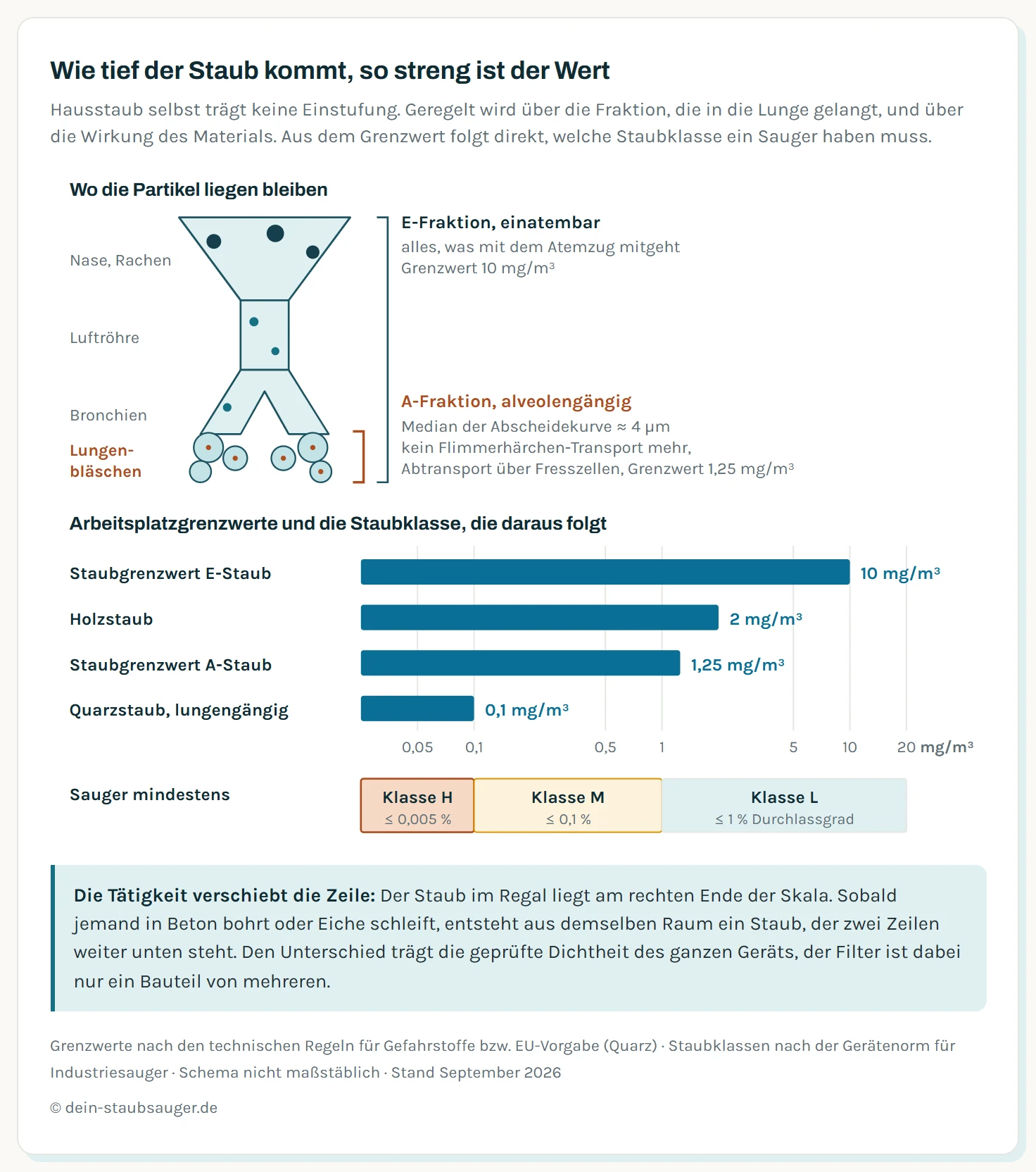 Zweiteilige Grafik zu Staubfraktionen und Grenzwerten. Links ein Schema des Atemtrakts im Schnitt mit drei Zonen: Nase und Rachen fangen den groben Anteil der einatembaren E-Fraktion ab, die Bronchien den thorakalen Anteil, und die alveolengängige A-Fraktion mit einem Median von etwa 4 Mikrometern erreicht die Lungenbläschen, wo der Abtransport nur noch über Fresszellen läuft. Rechts eine logarithmische Balkenskala der Arbeitsplatzgrenzwerte in Milligramm je Kubikmeter: allgemeiner Staubgrenzwert E-Staub 10, Holzstaub 2, allgemeiner Staubgrenzwert A-Staub 1,25 und lungengängiger Quarzstaub 0,1. Unter den Balken ist markiert, welche Staubklasse ein Sauger nach der Gerätenorm mindestens haben muss: Klasse L bei Grenzwerten über 1 Milligramm je Kubikmeter, Klasse M ab 0,1 Milligramm je Kubikmeter und Klasse H bei krebserzeugenden Stäuben und Werten darunter.