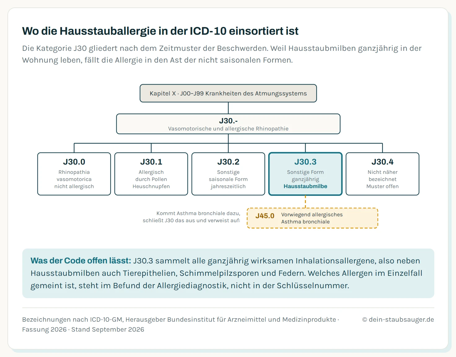 Hierarchie der ICD-10-GM von Kapitel J00 bis J99 über die Kategorie J30 zu den fünf Schlüsselnummern J30.0 bis J30.4, wobei J30.3 als Code der Hausstaubmilbenallergie hervorgehoben ist, dazu der Ausschluss zu J45.0 bei Asthma.