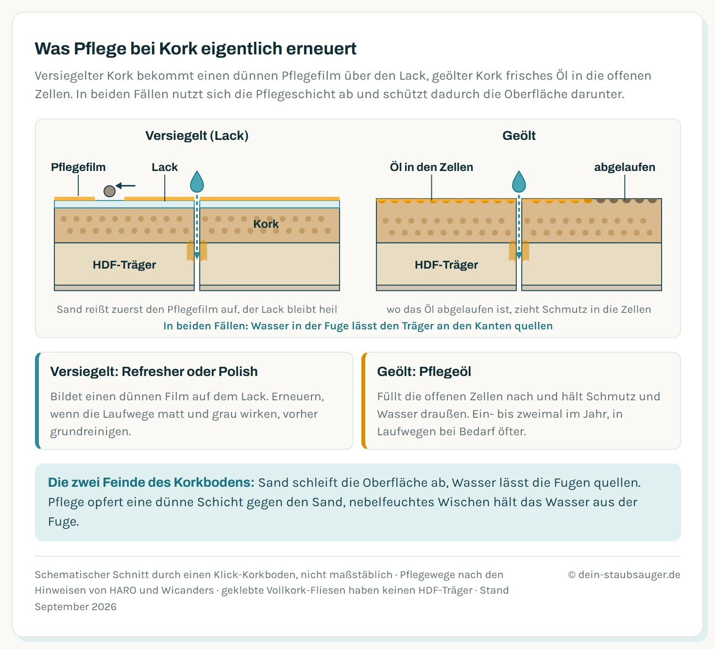 Zwei schematische Schnitte durch einen Klick-Korkboden. Links versiegelter Kork mit Pflegefilm, Lackschicht, Korkschicht und HDF-Träger; ein Sandkorn hat den Pflegefilm aufgerissen, der Lack darunter ist heil. Rechts geölter Kork, dessen offene Zellen an der Oberfläche mit Öl gefüllt sind, an einer abgelaufenen Stelle sind sie leer. In beiden Schnitten zieht ein Wassertropfen in die Fuge und lässt den HDF-Träger an den Kanten quellen.