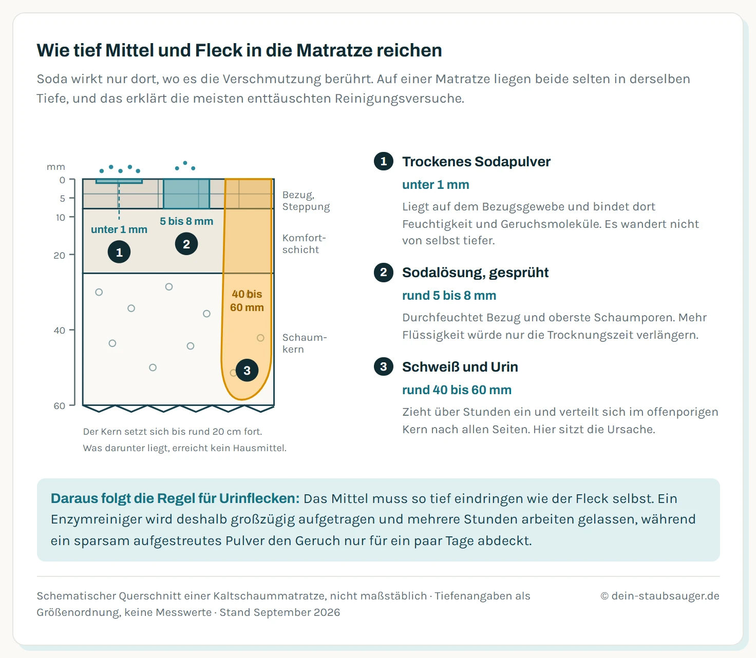 Querschnitt durch eine Matratze mit drei Eindringtiefen: trockenes Sodapulver bleibt an der Bezugsoberfläche, eine Sprühlösung erreicht Bezug und oberste Schaumschicht, Schweiß und Urin ziehen dagegen tief in den Kern.