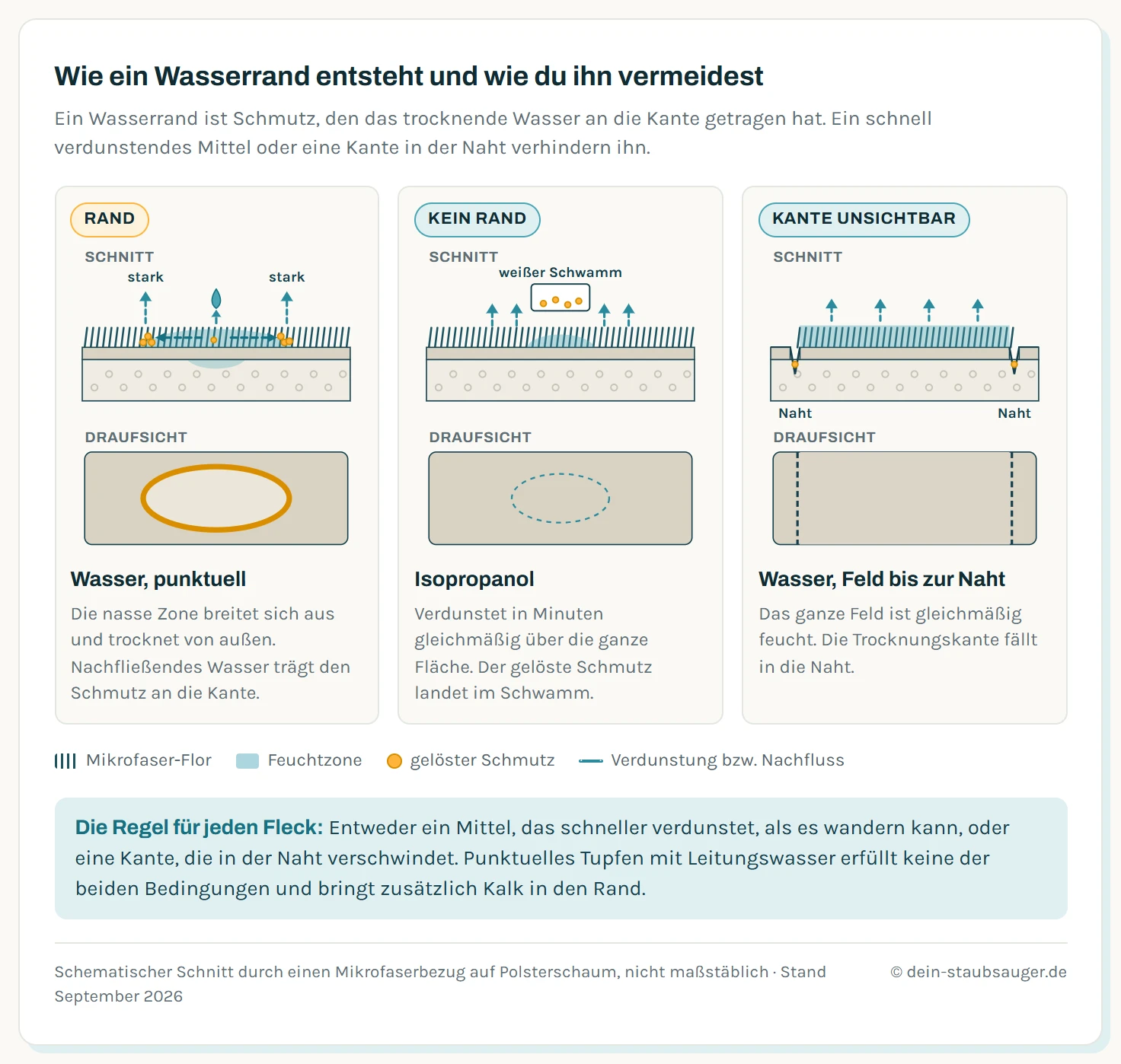 Zweiteilige Schemagrafik mit je einem Schnitt durch einen Mikrofaserbezug auf Polsterschaum und einer Draufsicht darunter. Links Wasser: Die nasse Zone breitet sich durch Dochtwirkung seitlich im Flor aus, am Rand verdunstet das Wasser am stärksten, Pfeile zeigen den Nachfluss aus der Mitte zum Rand, gelöste Schmutzteilchen sammeln sich an der Kante. In der Draufsicht bleibt ein heller Fleck mit dunklem Ring. Rechts Isopropanol: Die feuchte Zone bleibt klein, der Alkohol verdunstet innerhalb weniger Minuten gleichmäßig über die ganze Fläche, der gelöste Schmutz wandert in den weißen Schwamm. In der Draufsicht bleibt eine gleichmäßige Fläche ohne Rand. Darunter ein dritter Streifen: Wird bei Wasser das ganze Feld bis zur Naht gleichmäßig befeuchtet, fällt die Trocknungskante in die Naht und ist unsichtbar.