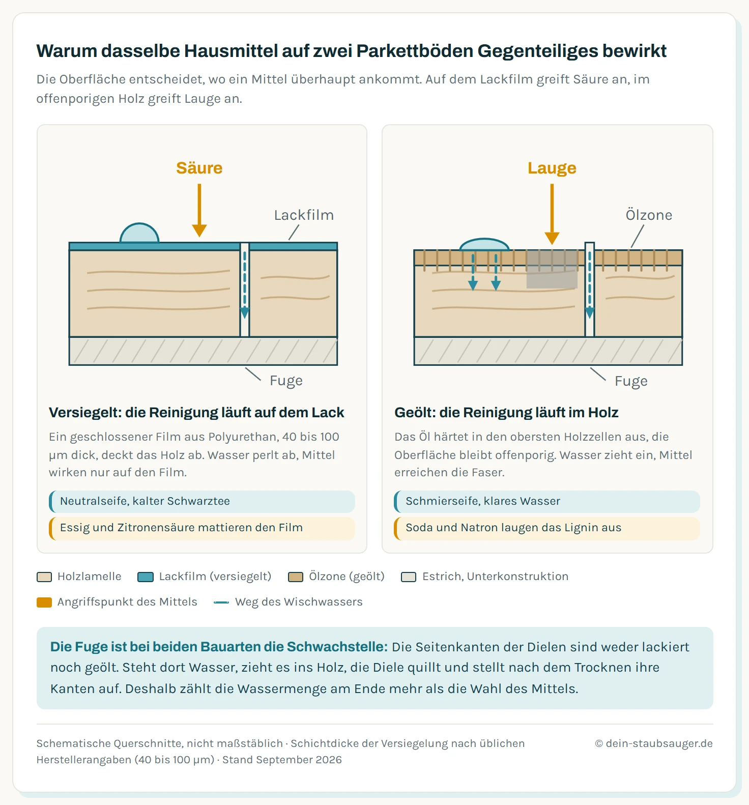 Zwei schematische Querschnitte durch eine Parkettdiele nebeneinander. Links versiegeltes Parkett: Auf der Holzlamelle liegt ein geschlossener Lackfilm, ein Wassertropfen perlt darauf ab und bleibt oben stehen. Ein Pfeil zeigt, dass Säure aus Essig und Zitronensäure den Lackfilm von oben anätzt und ihn matt werden lässt. In der Fuge zwischen zwei Dielen dringt Wasser dagegen an der ungeschützten Seitenkante ins Holz ein. Rechts geöltes Parkett: Das Öl sitzt in den obersten Holzzellen, die Oberfläche bleibt offenporig, ein Wassertropfen zieht ein und dunkelt das Holz. Ein Pfeil zeigt, dass alkalische Mittel wie Soda und Natron in die Poren eindringen und das Lignin auslaugen, was graue Verfärbungen ergibt. Unter beiden Schnitten stehen die passenden Mittel: links Neutralseife und Schwarztee, rechts Schmierseife.