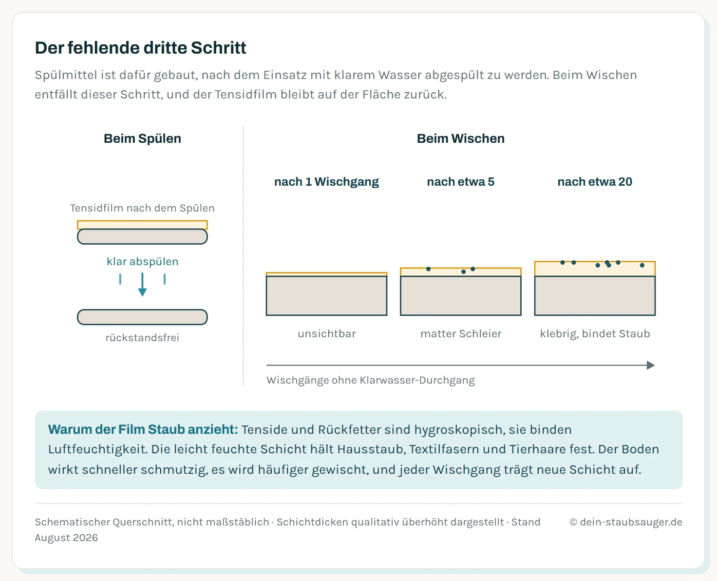 Schematischer Vergleich in zwei Teilen. Links im Querschnitt ein Geschirrteil mit Fettschmutz und darüber der Tensidfilm, darunter derselbe Teil nach dem Klarspülen mit sauberer Oberfläche: Der Film verlässt die Fläche mit dem Spülwasser. Rechts drei Querschnitte durch einen Bodenbelag im zeitlichen Verlauf. Nach dem ersten Wischgang liegt ein hauchdünner, unsichtbarer Tensidfilm auf der Oberfläche. Nach etwa fünf Wischgängen ist die Schicht dicker und erzeugt einen matten Schleier, erste Staubpartikel haften darin. Nach etwa zwanzig Wischgängen ist der Belag deutlich aufgebaut, klebrig und mit zahlreichen eingebundenen Staubpartikeln durchsetzt. Ein Zeitpfeil unter den drei Schnitten kennzeichnet die Wischgänge ohne Klarwasser-Durchgang.