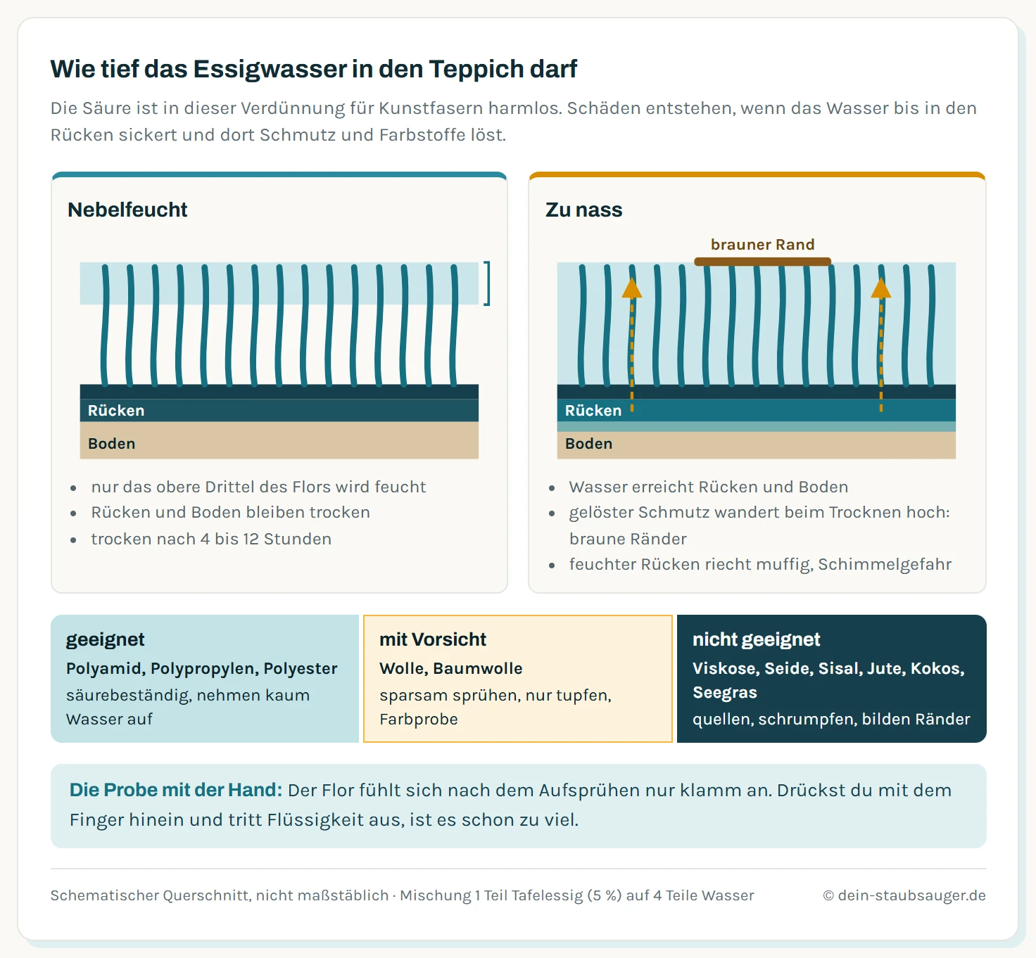 Querschnitt durch einen Tuftingteppich mit Flor, Grundgewebe und Rücken. Links nebelfeucht: Das Essigwasser bleibt im oberen Drittel des Flors, Grundgewebe und Rücken bleiben trocken, die Fläche trocknet in einigen Stunden. Rechts zu nass: Die Flüssigkeit sickert bis in den Rücken und den Boden darunter, dort entstehen braune Ränder, muffiger Geruch und Schimmelgefahr, und gelöster Schmutz wandert beim Trocknen wieder nach oben. Darunter eine Faser-Ampel: Polyamid, Polypropylen und Polyester geeignet; Wolle und Baumwolle mit Vorsicht, sparsam und nur tupfen; Viskose, Seide, Sisal, Jute, Kokos und Seegras nicht geeignet.