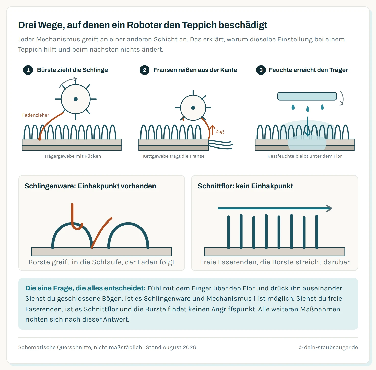 Schematischer Querschnitt durch einen Teppich mit Trägergewebe, Flor und Rückenbeschichtung, dazu drei markierte Schadmechanismen. Erstens hakt sich eine Bürstenborste in eine geschlossene Schlinge der Schlingenware ein und zieht den Faden als Fadenzieher heraus. Zweitens wickeln sich Fransen um die rotierende Walze und werden aus dem Kettgewebe gerissen. Drittens dringt Feuchtigkeit vom Wischmodul durch den Flor bis ins Trägergewebe und hinterlässt Ränder sowie Restfeuchte. Rechts stehen zwei Mini-Schemata im Vergleich: bei Schlingenware bildet die Faser eine geschlossene Schlaufe, in die sich eine Borste einhaken kann, bei Schnittflor endet jede Faser frei.