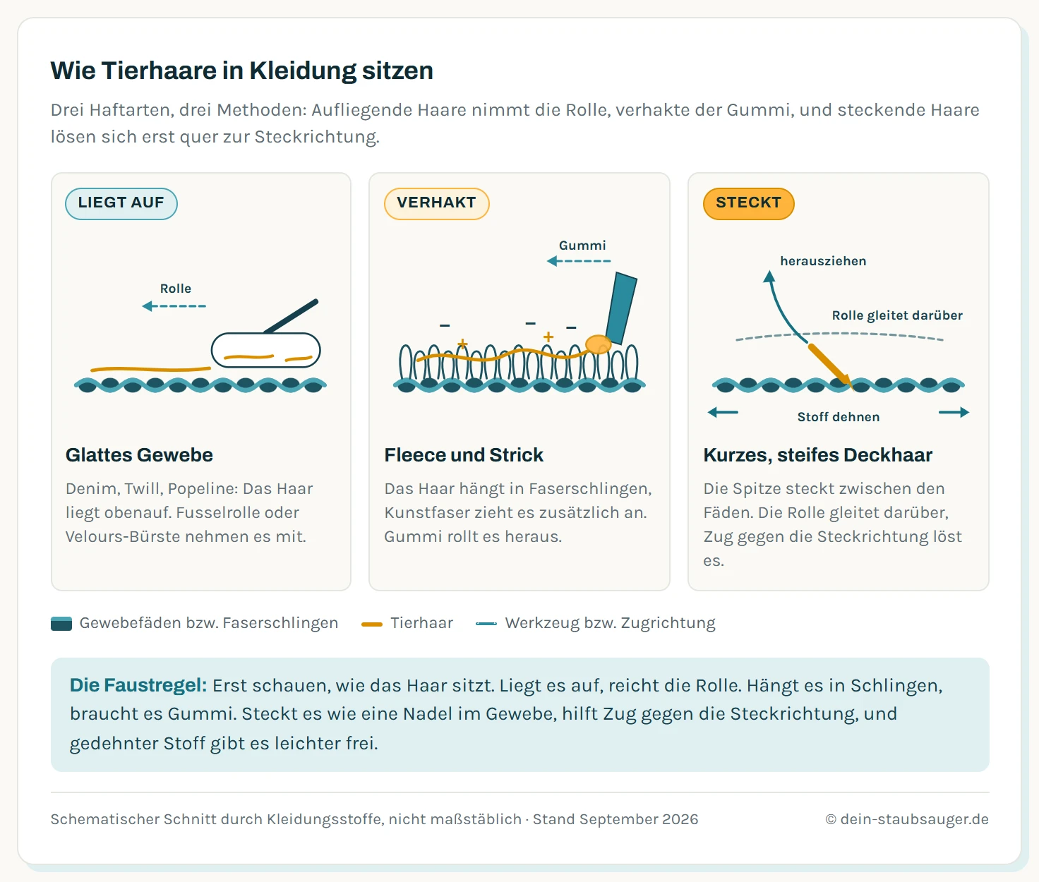 Drei schematische Schnitte durch Kleidungsstoffe mit Tierhaaren. Erstens ein glattes, dicht gewebtes Gewebe wie Denim: Das Haar liegt lose oben auf, eine Fusselrolle nimmt es mit. Zweitens ein flauschiger Stoff wie Fleece mit vielen Faserschlingen: Das Haar hat sich in den Schlingen verfangen, Plus- und Minuszeichen zeigen die statische Anziehung zwischen Haar und Kunstfaser, eine Gummikante rollt das Haar heraus. Drittens ein Gewebe mit einem kurzen, steifen Hundehaar, das schräg mit der Spitze zwischen den Fäden steckt: Eine Fusselrolle gleitet darüber, ein Gummi quer zur Steckrichtung oder das Dehnen des Stoffs löst es.