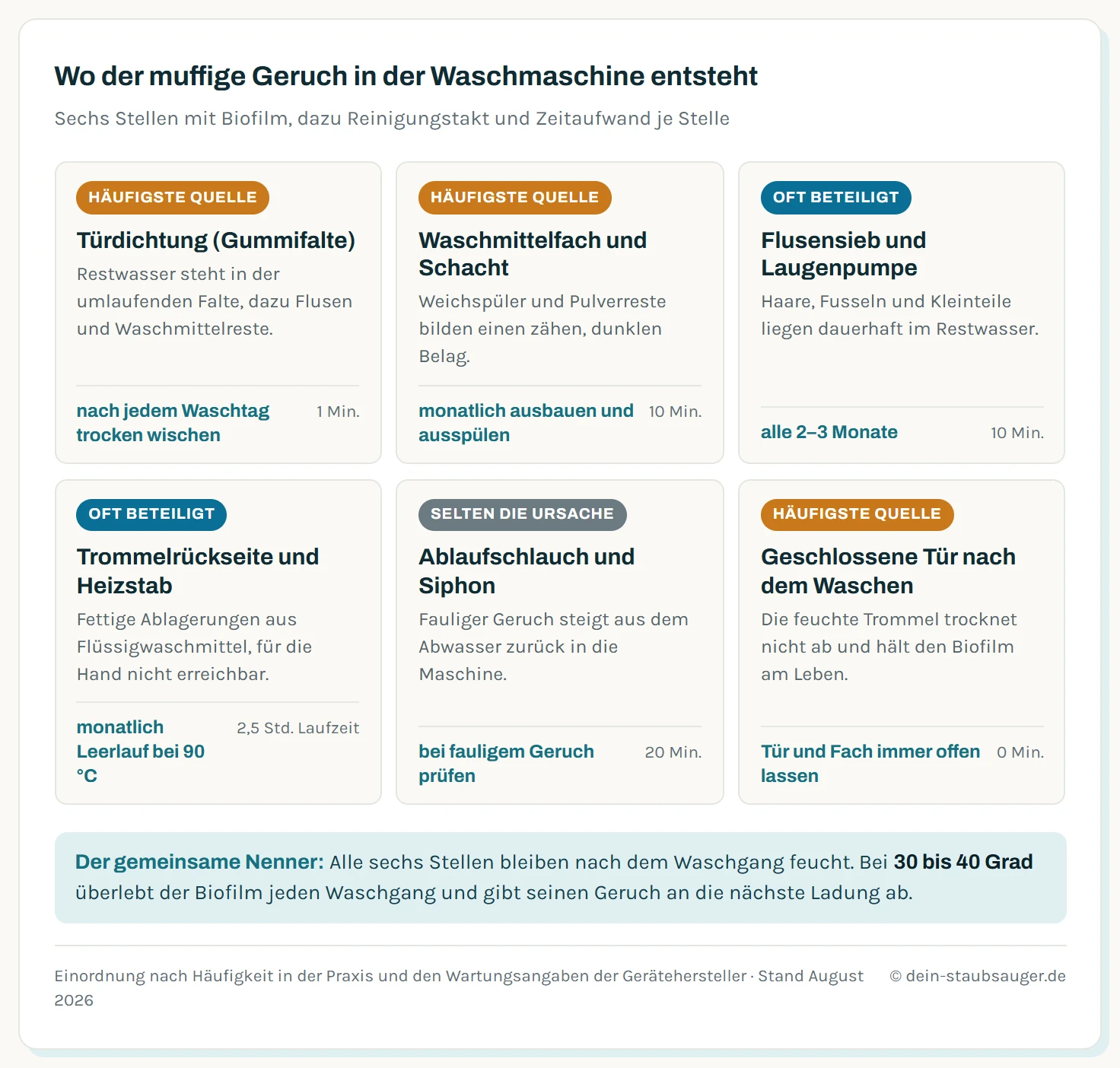 Übersicht der sechs Stellen in der Waschmaschine, an denen muffiger Geruch entsteht: Türdichtung, Waschmittelfach, Flusensieb, Trommelrückseite mit Heizstab, Ablaufschlauch und die nach dem Waschen geschlossene Tür. Je Stelle sind die Häufigkeit als Ursache, der Reinigungstakt und der Zeitaufwand angegeben.